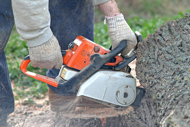 Ardmore, TN Tree Services Company